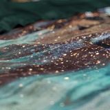 Wild Dekbedovertrek Apollo-2-persoons (200 x 200/220 cm)