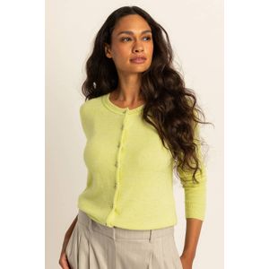 Expresso - Gebreid Vest - Limegroen