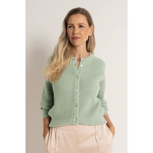 Claudia Sträter - Cardigan - Lichtgroen - Gebreid