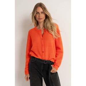 Claudia Sträter - Cardigan - Oranje - Met Wol