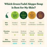 Green Fadel - Aleppo Zeep - 100% Olijfolie - Set van 6 x 200g - Handgemaakt - Natuurlijke Zeep