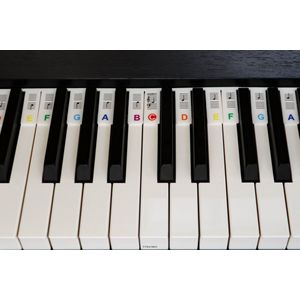 Siliconen Toetsenwijzer piano kleur - verwijderbare stickers