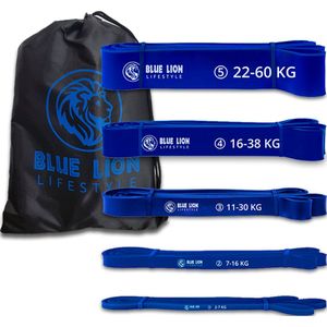 Blue Lion Powerband set - Fitness Weerstandsbanden set met 5 verschillende weerstanden - Resistance band set van 2 tot 60 KG - Met opbergtas