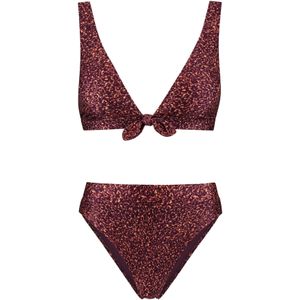 Shiwi - Teddy - Bikini - Paars/Bruin - Voorgevormde Cups