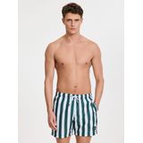 Shiwi - Mike Broad Stripe - Zwemshort - Multikleur - Polyester