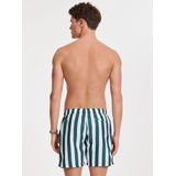 Shiwi - Mike Broad Stripe - Zwemshort - Multikleur - Polyester