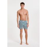 Shiwi - Mike Broad Stripe - Zwemshort - Multikleur - Polyester