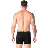Alexander CoBB boxer long S