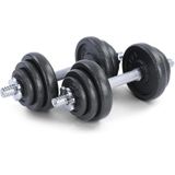 20 kg professionele dumbbell halterset zwart gietijzer