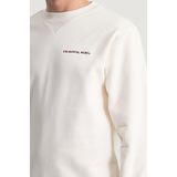 Colourful Rebel - CLRFL RBL - Sweat - Groen - 100% Organic Cotton