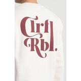 Colourful Rebel - CLRFL RBL - Sweat - Groen - 100% Organic Cotton