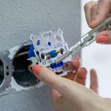 LED's Light Universele Dimmer tot 250W - LED & Gloeilampen & Halogeen - 2 draads