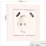 LED's Light USB Contactdoos - Inbouw stekkerdoos - Stopcontact met beveiliging