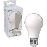 LED Lamp Peertje A60 - Koud Wit Licht - E27 Fitting - 8W (60W)