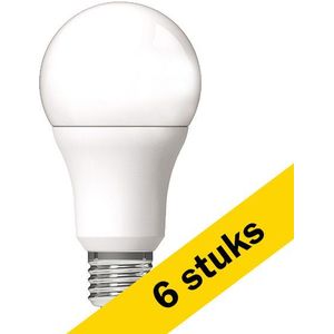 6x 123led LED lamp E27 | Peer A60 | Mat | 2700K | 13W (100W)