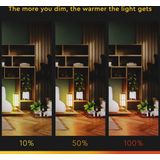 DimToWarm LED Lamp Kaars - Dimbaar Warm Wit Licht - Ø 3.5 cm - 5 Watt
