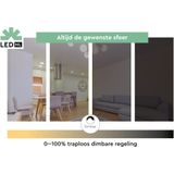 LED Filament Lamp - Goud - Dimbaar - E27 Fitting - 250 Lumen