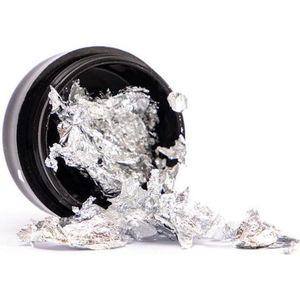 Cosmetics Zone Metallic Nagel Flakes Zilver