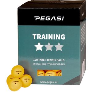 Pegasi 1 ster pingpong ballen 120st. Oranje - Tafeltennis balletjes