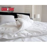 Cara Care Clarissa| Luxe Non-Allergisch Wasbaar 4-Seizoenen Dekbed | Wasbaar tot 90oC | Het beste stofvrij dekbed | Volledig stofvrij en Anti-Allergische Dekbed | 140x200 cm