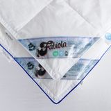 Fabiola Oostenrijks dons 4 seizoenen dekbed Halfdons dekbed Luxe en lekker zwaar donsdeken extra lang