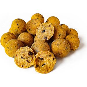 Ultimate Scopex Boilies 2,5KG | Karper Boilies | Karpervissen | Boilies | Karper Aas | Karper Vissen | Karper Voer | Karper