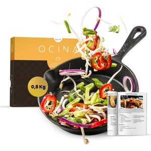 Ocina Gietijzeren pan voor BBQ en Inductie – 16 cm – Skillet – Koekenpan – Hapjespan - Pannen