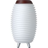 Kooduu - Synergy 35-S - Bluetooth Speaker - LED Lamp - Wijnkoeler