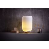 Kooduu Atmos - Bluetooth Speaker - Dimbare LED Lamp - Wijnkoeler - Brons