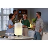 Kooduu Atmos - Bluetooth Speaker - Dimbare LED Lamp - Wijnkoeler - Brons