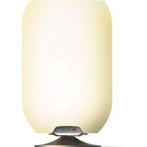 Kooduu Atmos Wijnkoeler - Bluetooth Speaker - Led Lamp - Zilverkleurig - 35 cm - Dimbaar - Tafellamp - Oplaadbaar