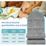 Verzwaringsdeken - Grijs - Katoen - 5 Kg