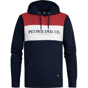 Petrol Industries - Heren Artwork Hoodie Carmi - Blauw
