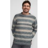 Petrol Industries - Brooks - Trui - Smoky Blue / Wolwit