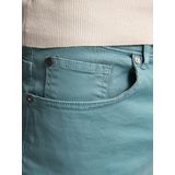 Petrol Industries - Gekleurde Denim Short Stingraypark - Grijs - Biologisch Katoen