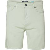 Petrol Industries - Stingraypark - Gekleurde Denim Short - Groen