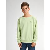 Petrol Industries - Jongens Logo Sweater - Groen - Katoenmix