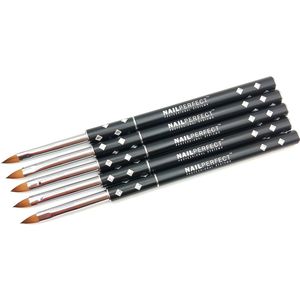 Tools Professional Oval Gel Brush