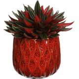 Ideas4seasons Bloempot/plantenpot - dieprood - voor kamerplant - D13 x H11 cm