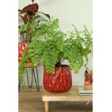 Ideas4seasons Bloempot/plantenpot - dieprood - voor kamerplant - D13 x H11 cm