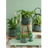 Ideas4seasons Bloempot/plantenpot Rise - ribbel - donkergroen - voor kamerplant - D14 x H10 cm