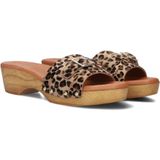 Red-Rag 79606 Hakken Dames - Bruin