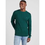 Tommy Hilfiger heren pullover Katoenen - groen