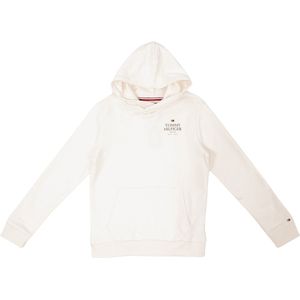 Tommy Hilfiger Kids Logo Puff Print Hoodie