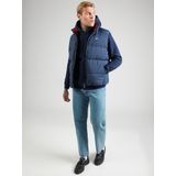 Tommy Jeans - Dm0dm20742 Hoodie - Katoenen Badstof - Capuchon - Regular Fit