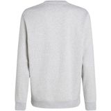 Tommy Jeans Sweatshirt "TJM REG S FLAG CREW", Mit besticktem Markenlogo auf Brusthöhe