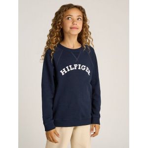 Tommy Hilfiger Sweater