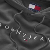 Tommy Jeans - Tjm Reg Linear Logo Ext Dm0dm20746 - Hoodie - Grijs