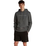 Tommy Jeans - Tjm Reg Linear Logo Ext Dm0dm20746 - Hoodie - Grijs