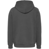 Tommy Jeans - Tjm Reg Linear Logo Ext Dm0dm20746 - Hoodie - Grijs